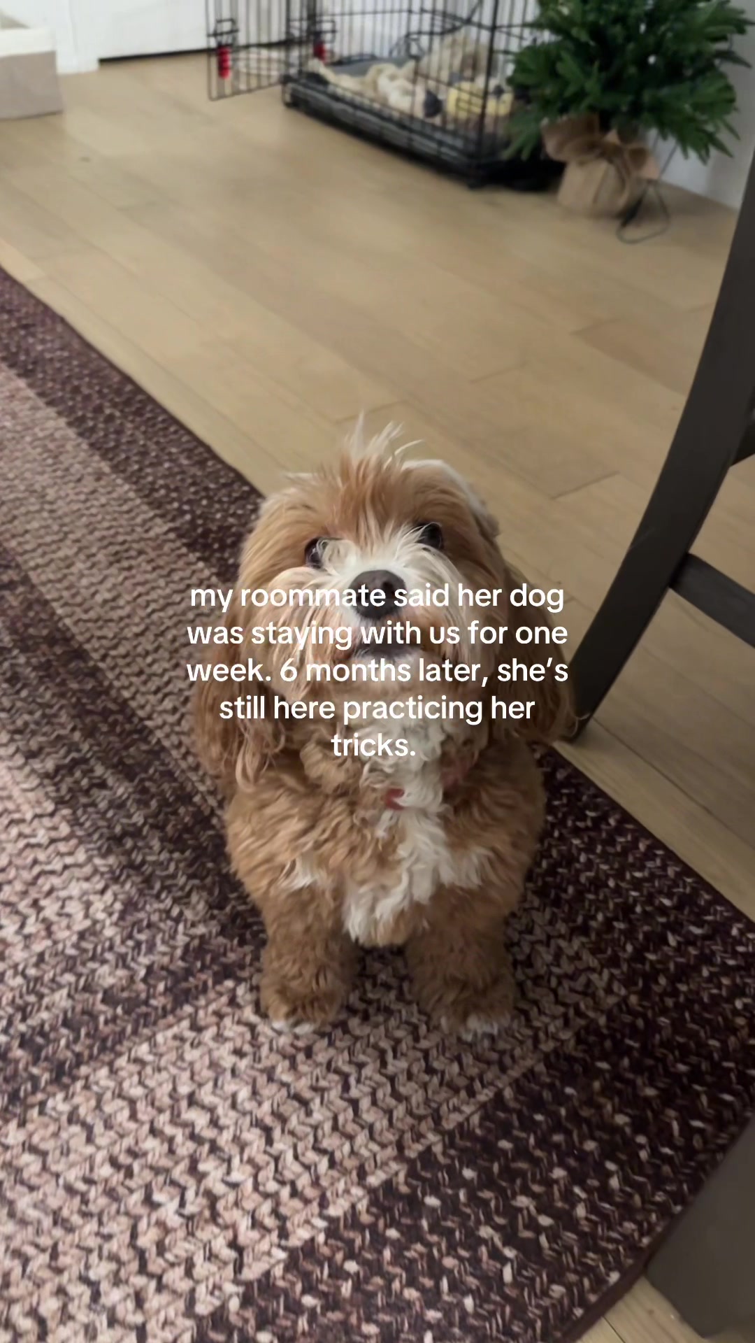 @Kiki