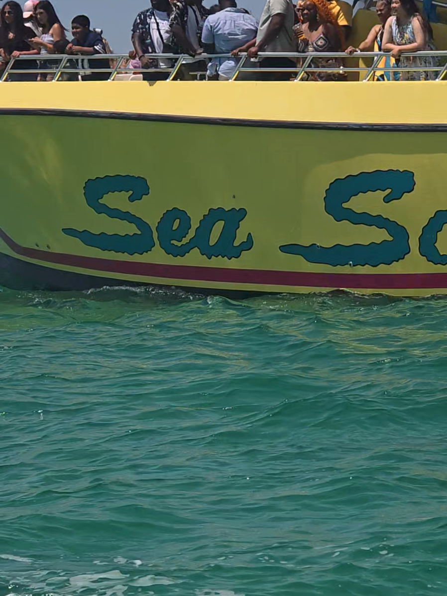 @Shell Island Dolphin Tours 🐬