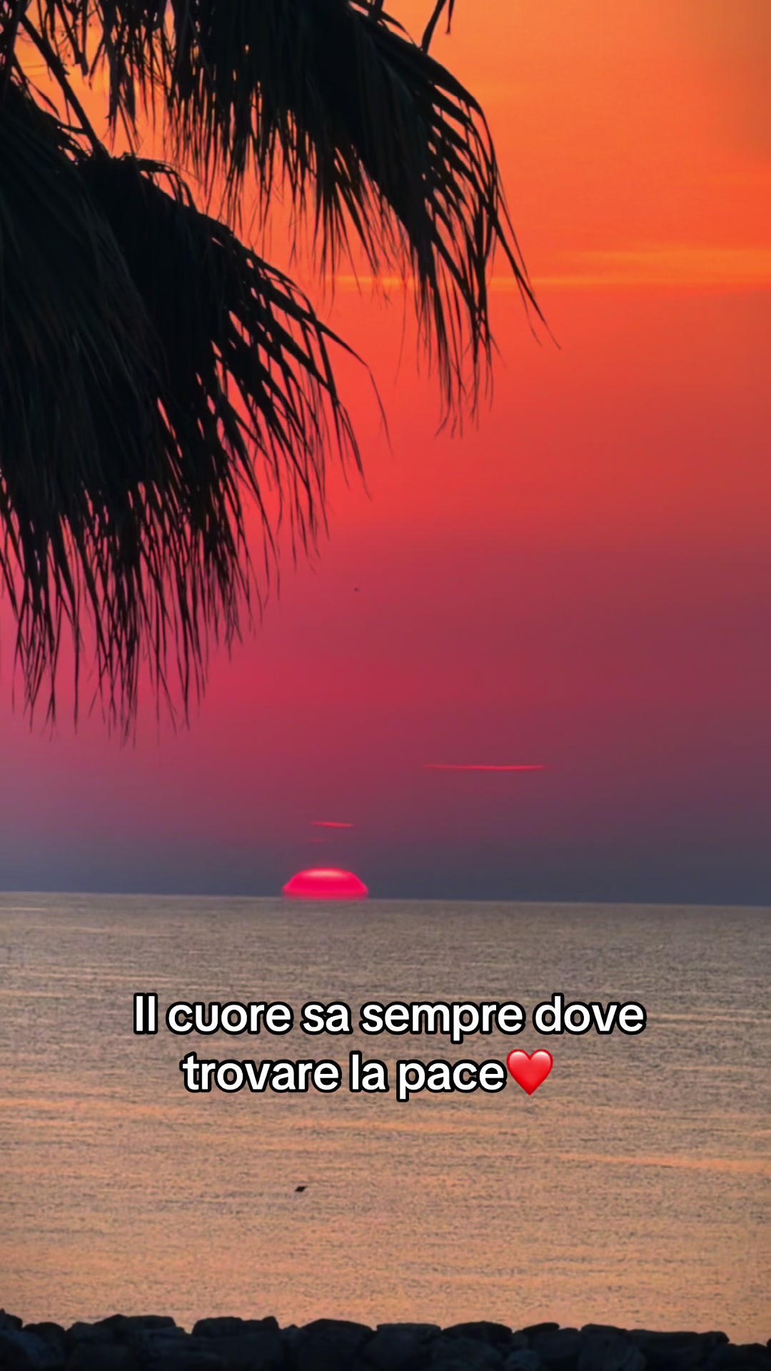 @ti segue