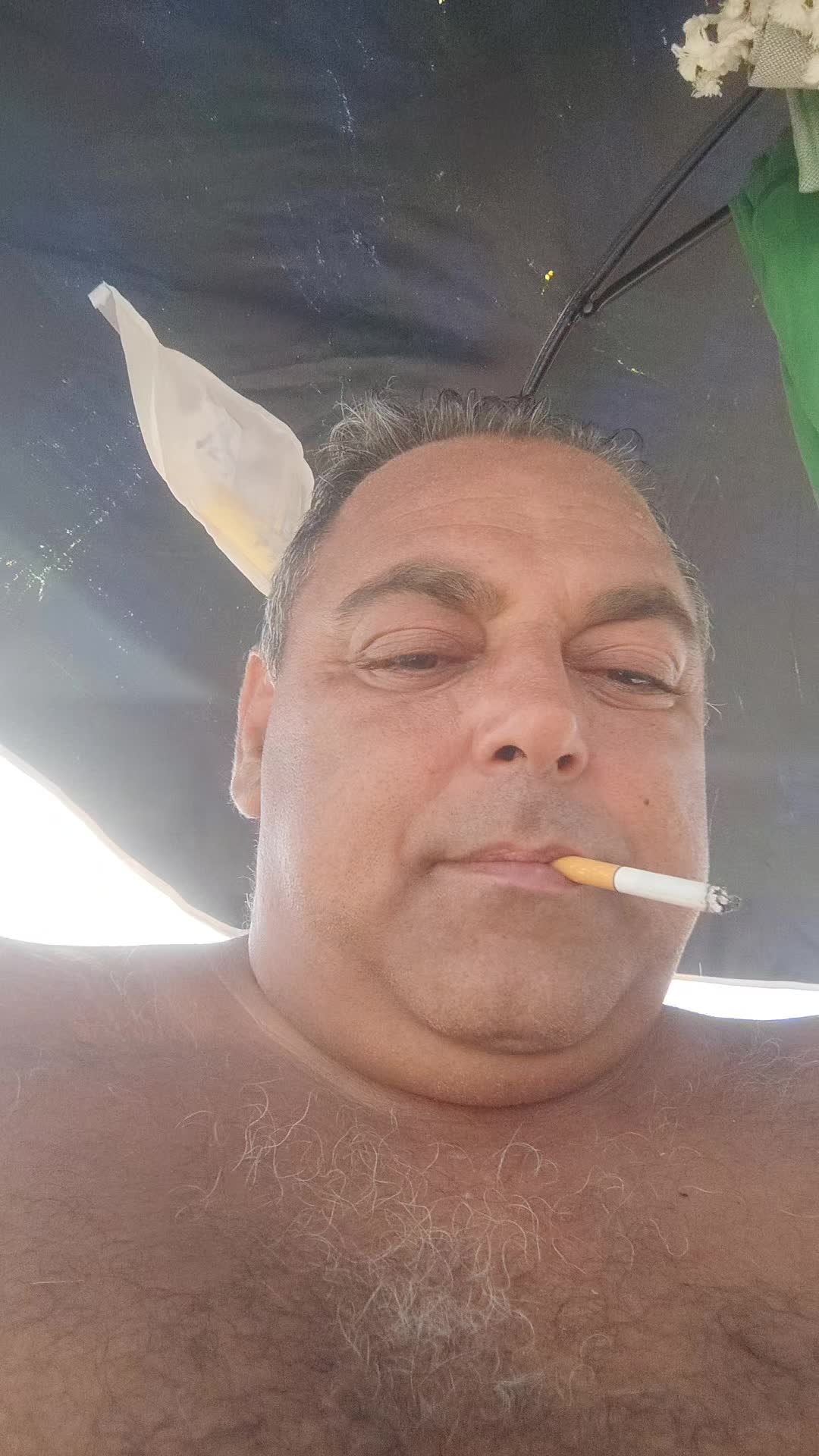 @teamsalvo