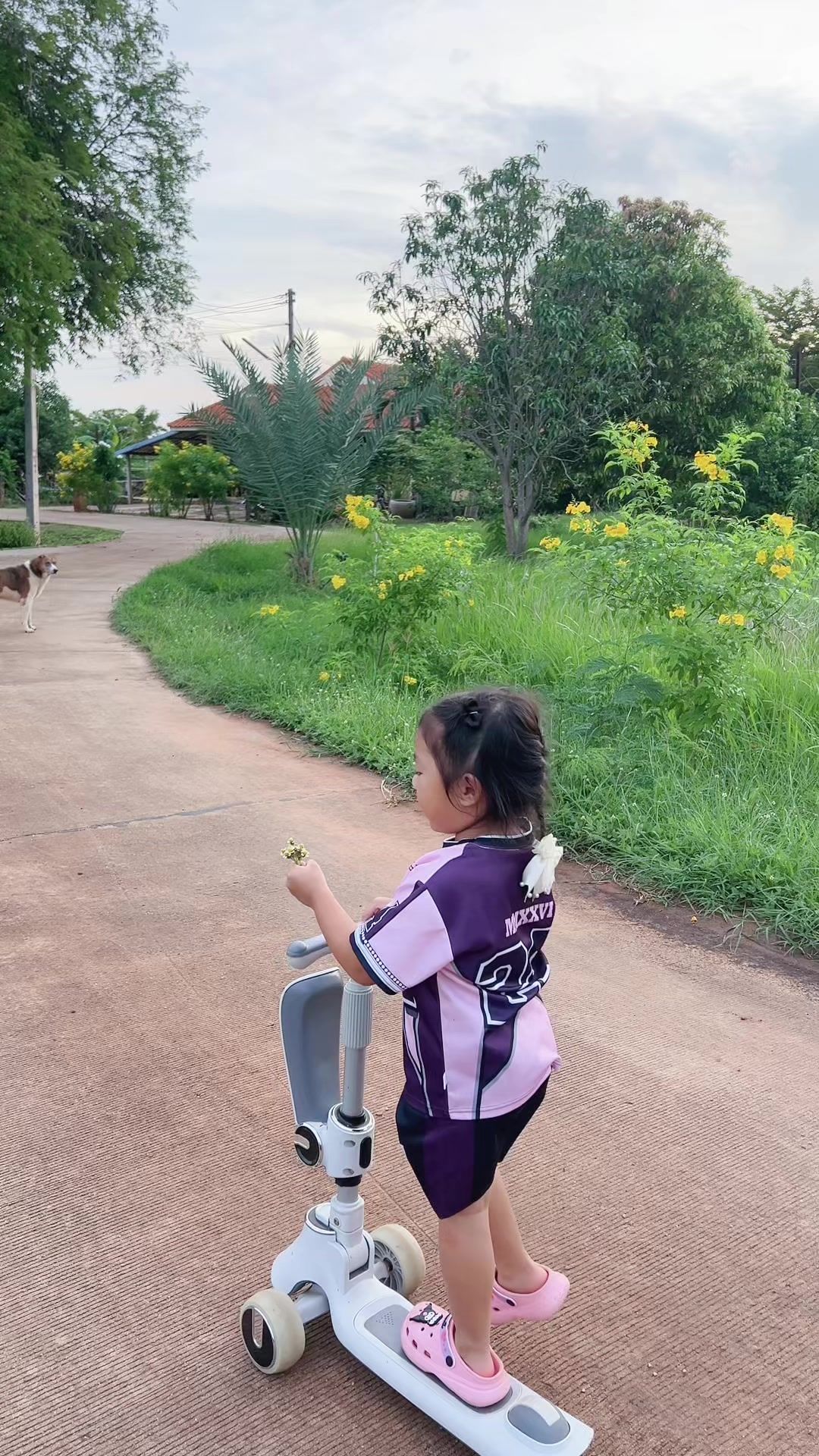 @ม๊ามี๊น้องไบรท์ 𐙚⋆°。