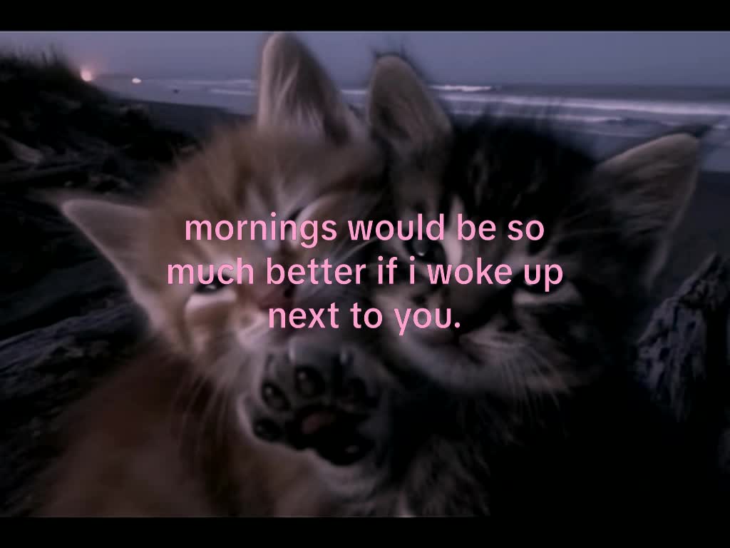 @mond
