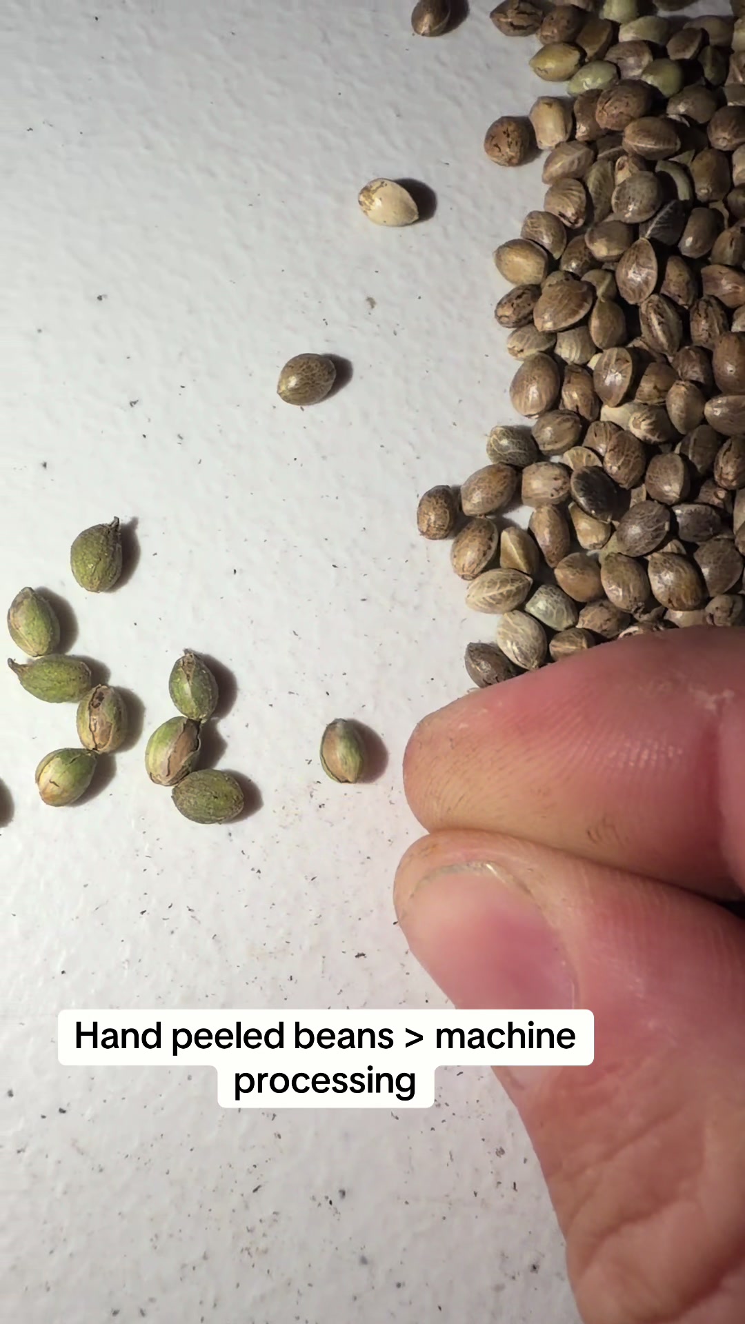 @SEEDTIVA
