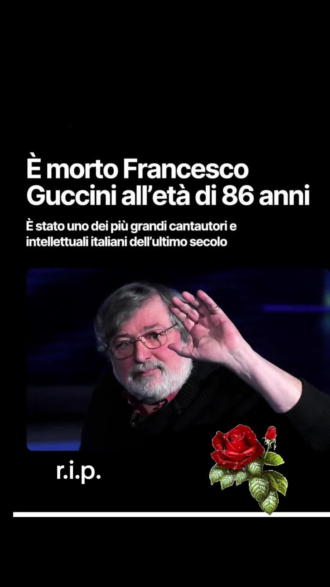 @silvana ferello