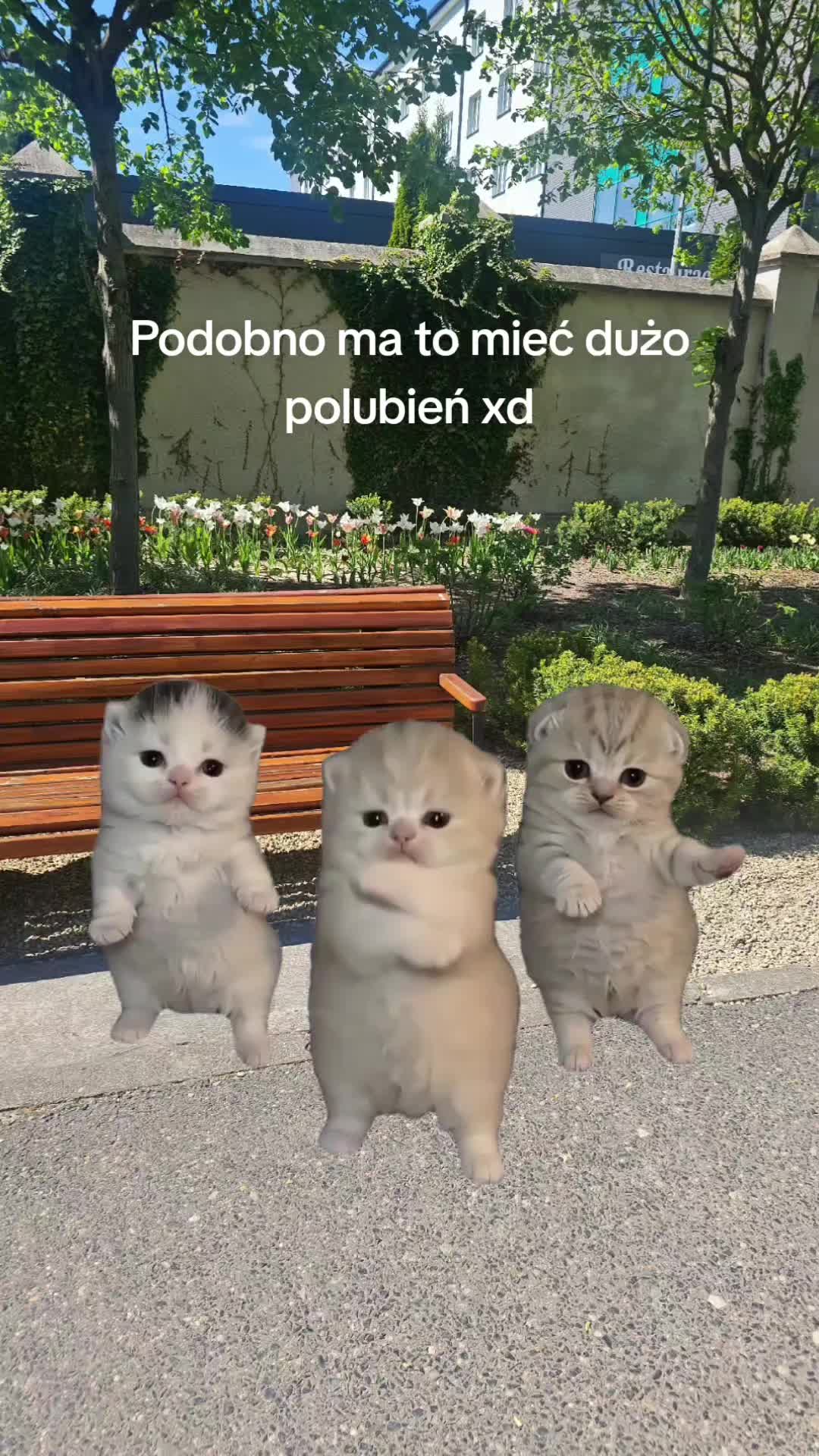 @𝓐𝓰𝓪𝓽𝓪