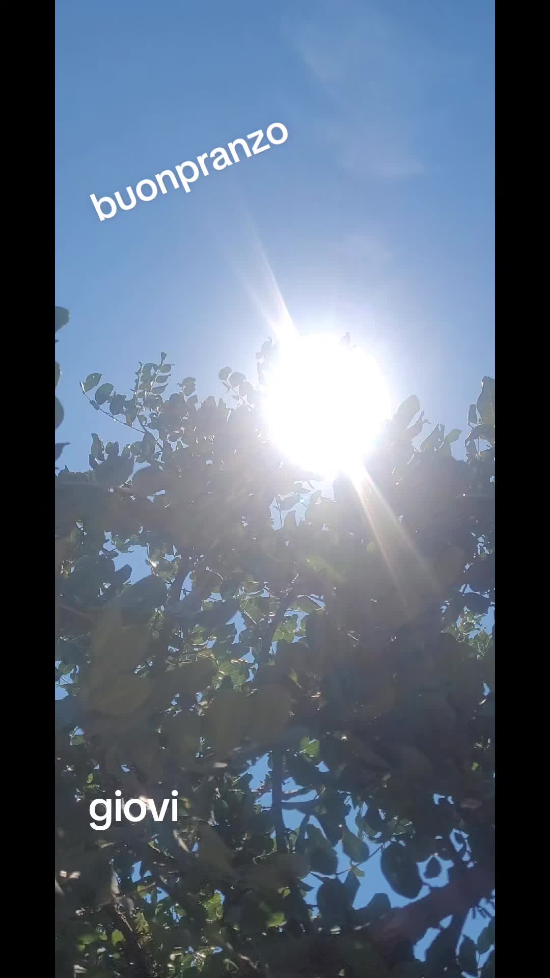 @giovi