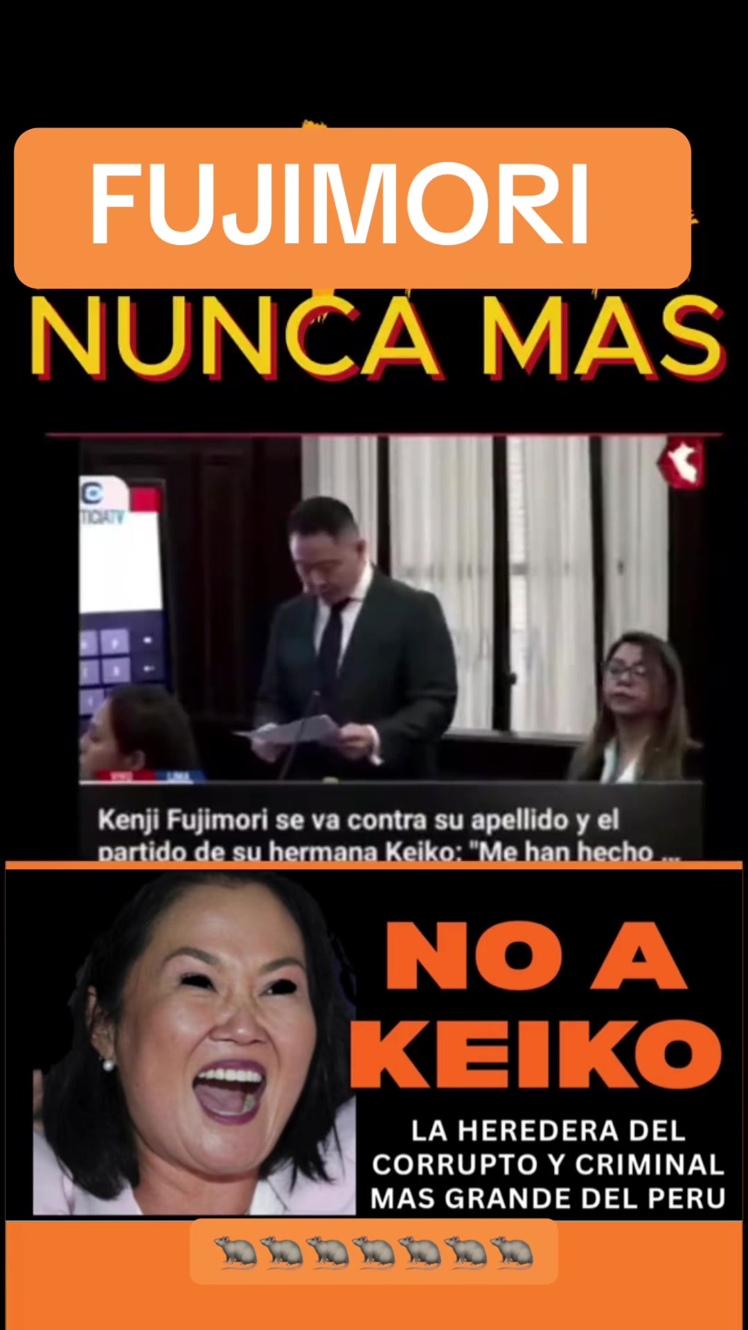 @PEXSemillasdeLibertad