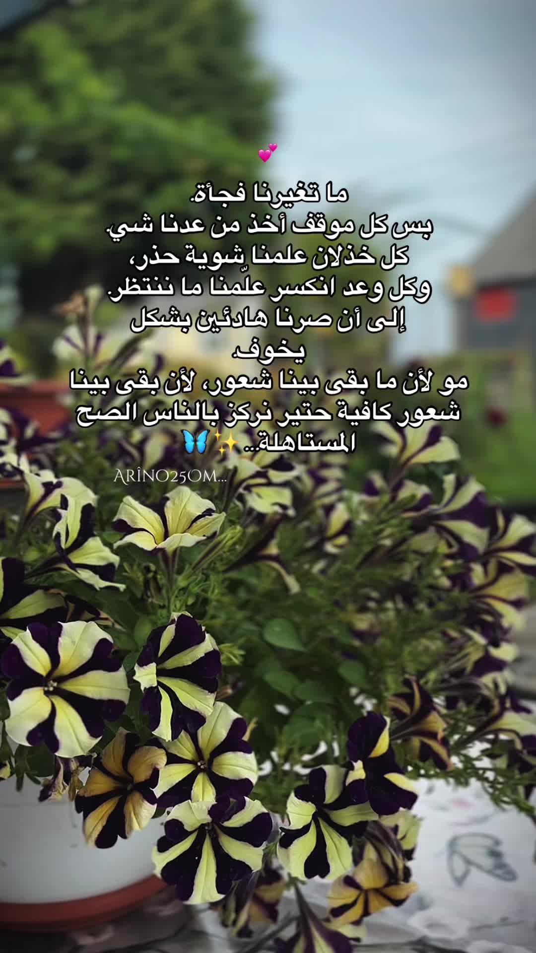 @Arîno25Om