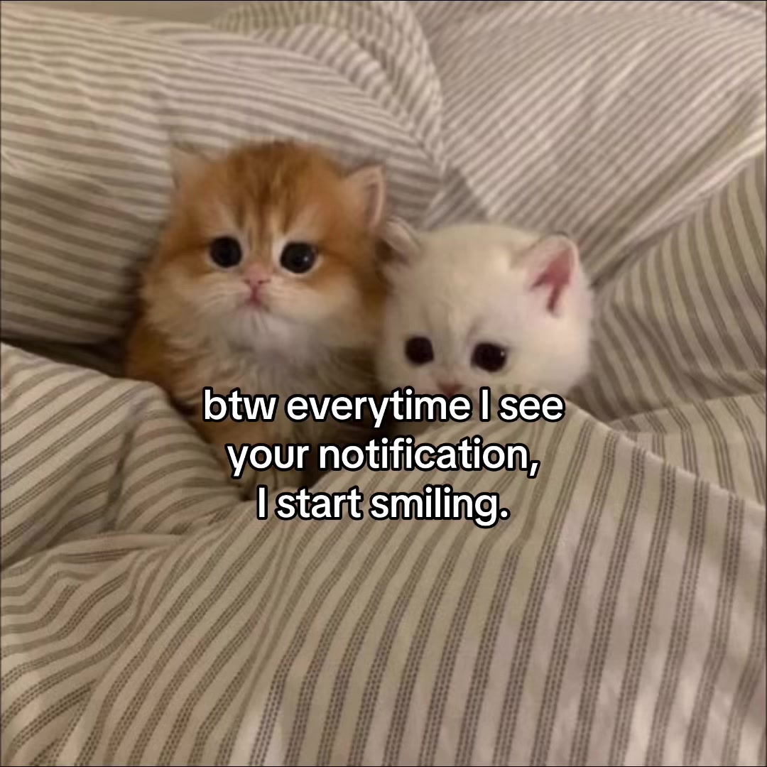 @deep.meow