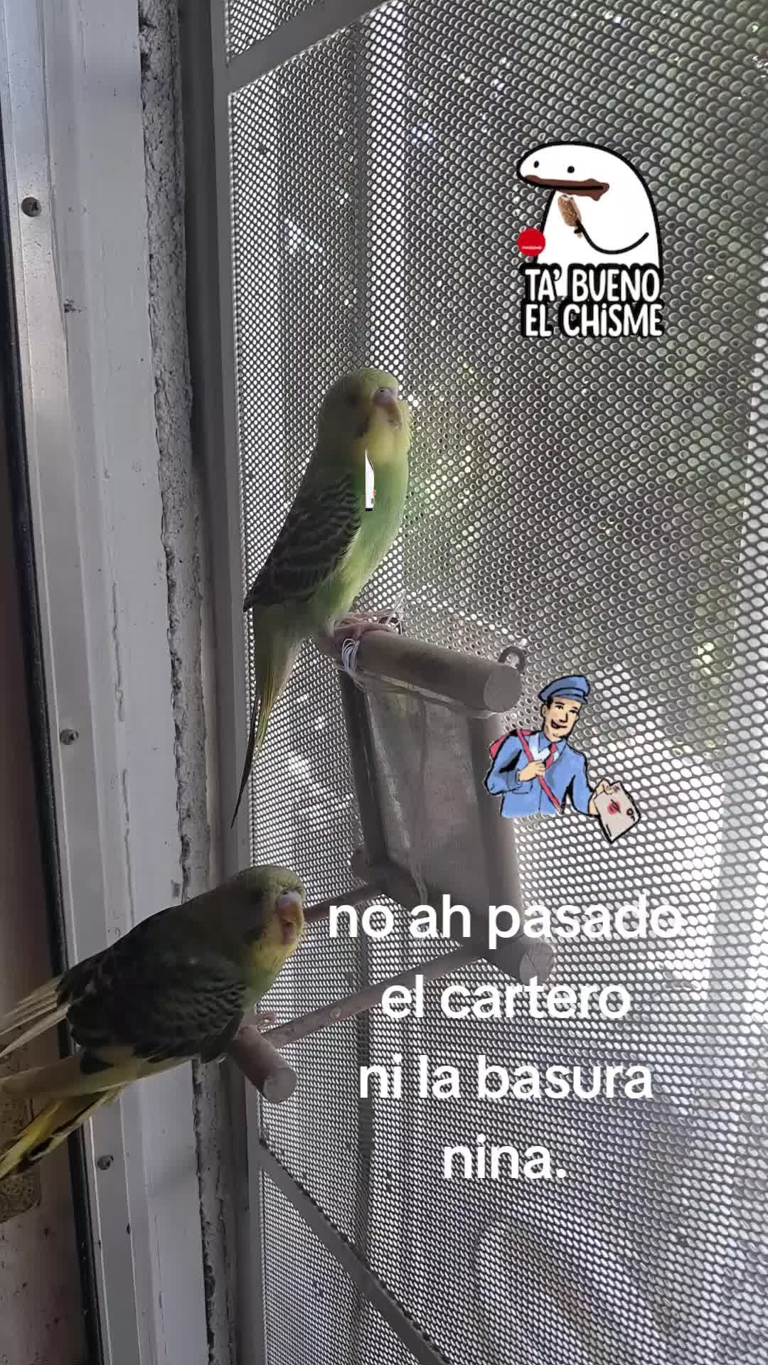 @Ada Madrina