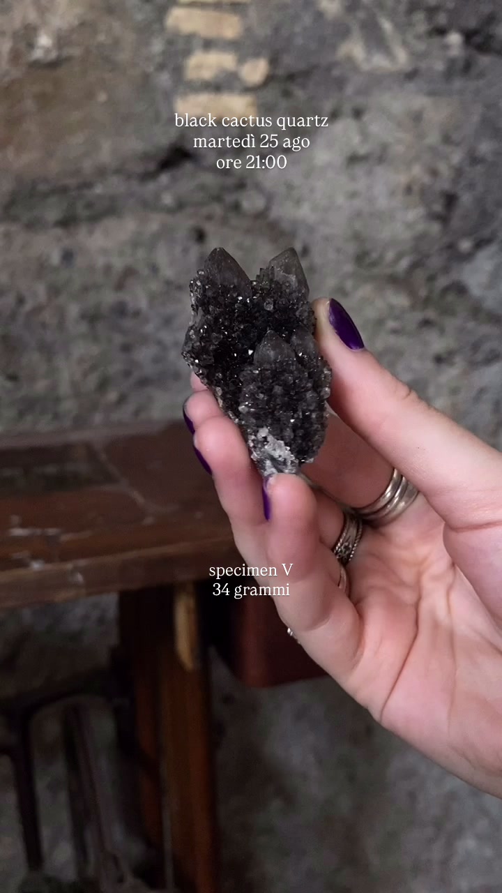 @sibylcrystals 🧚🏻♀️