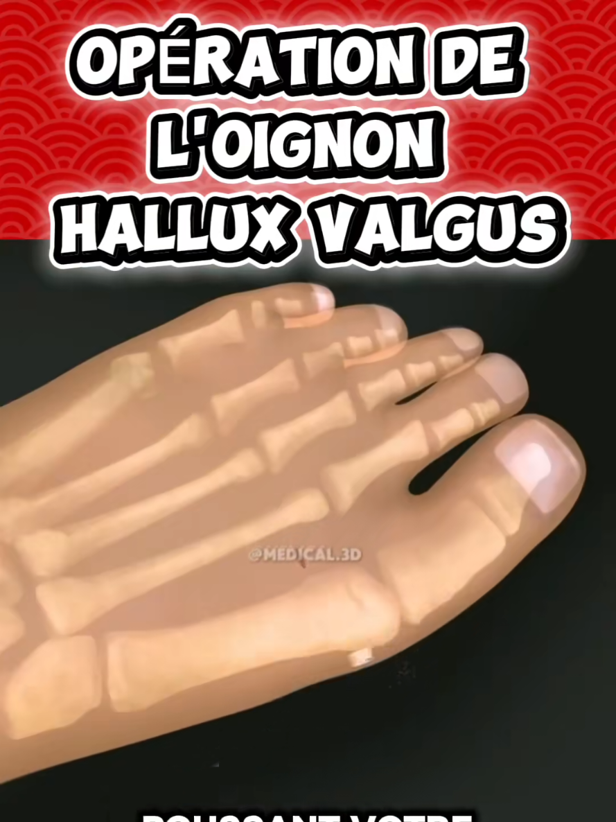 @Docteur Shepherd