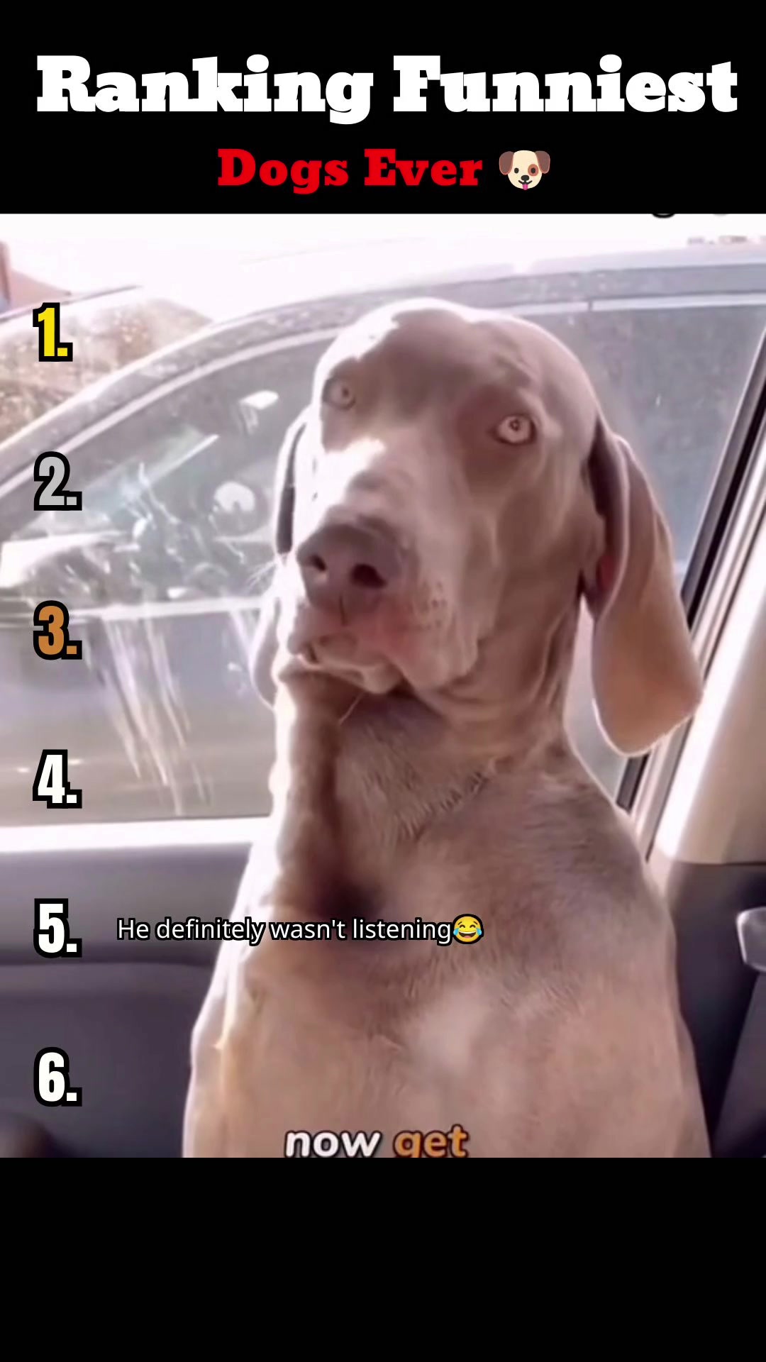 @vastranked