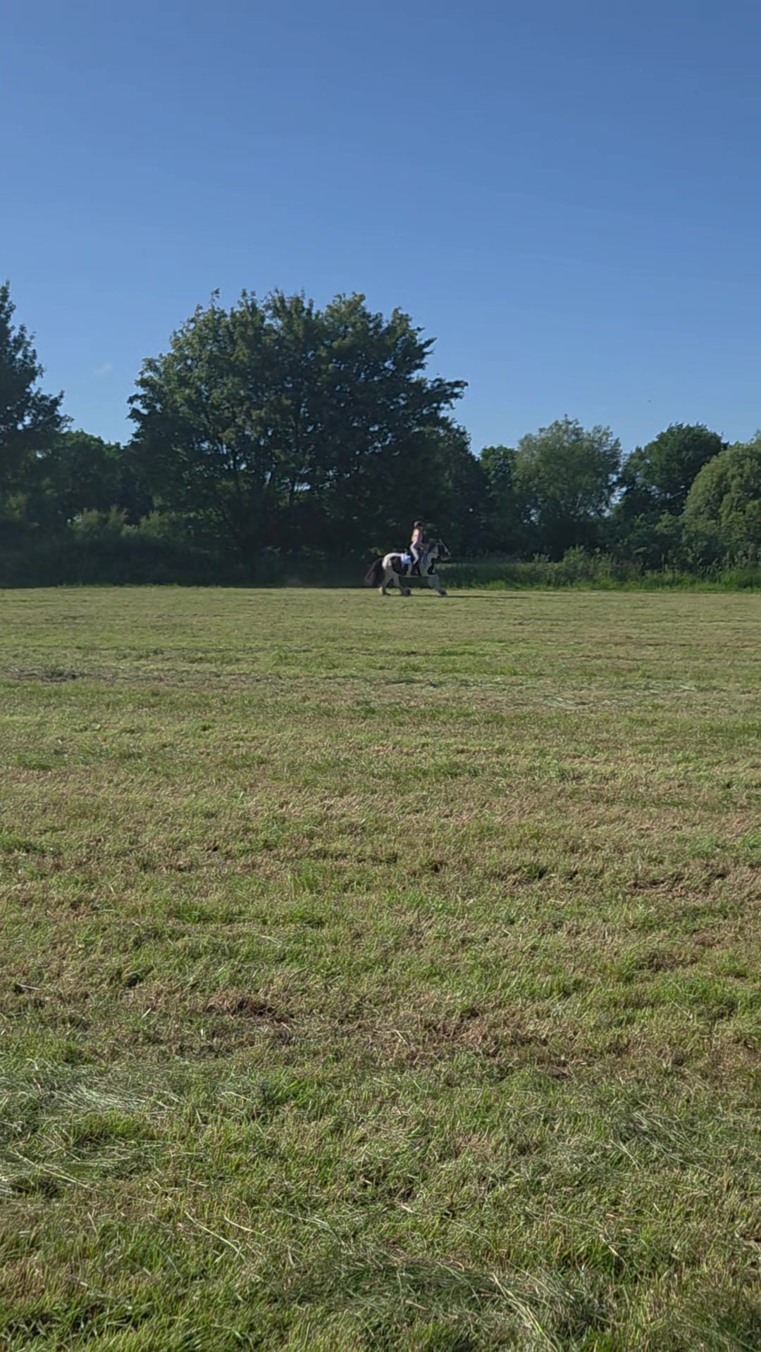 @Josys_Ponyhof-leben