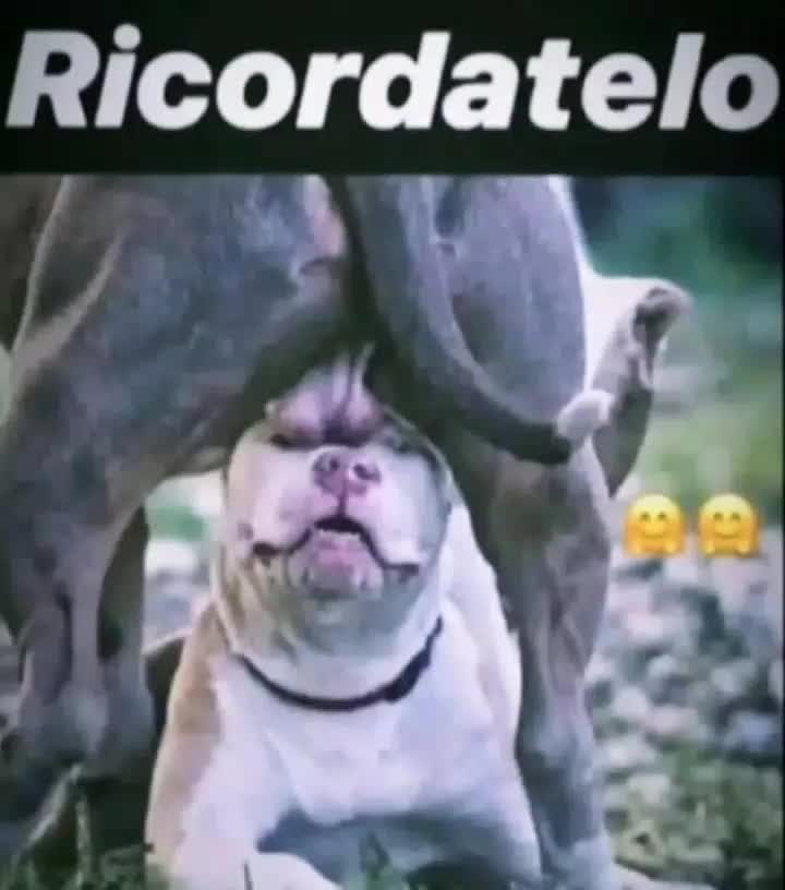@Davide Marchesiello