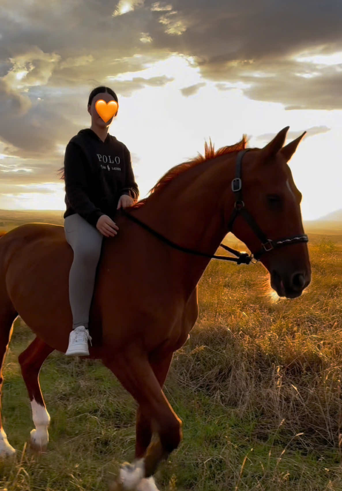 @annalisa.equestrian