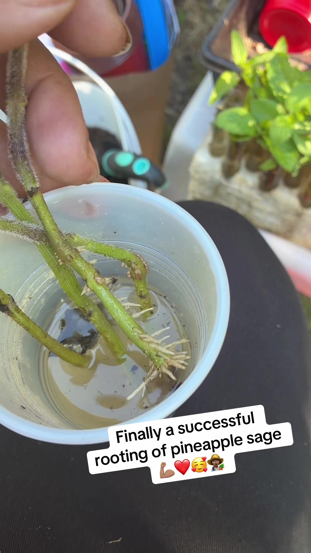 @gobigadventuresfarm
