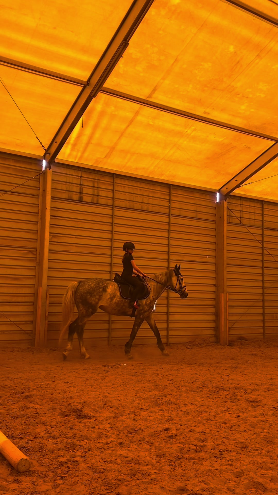 @😻🐴Eq._.N🐴😻