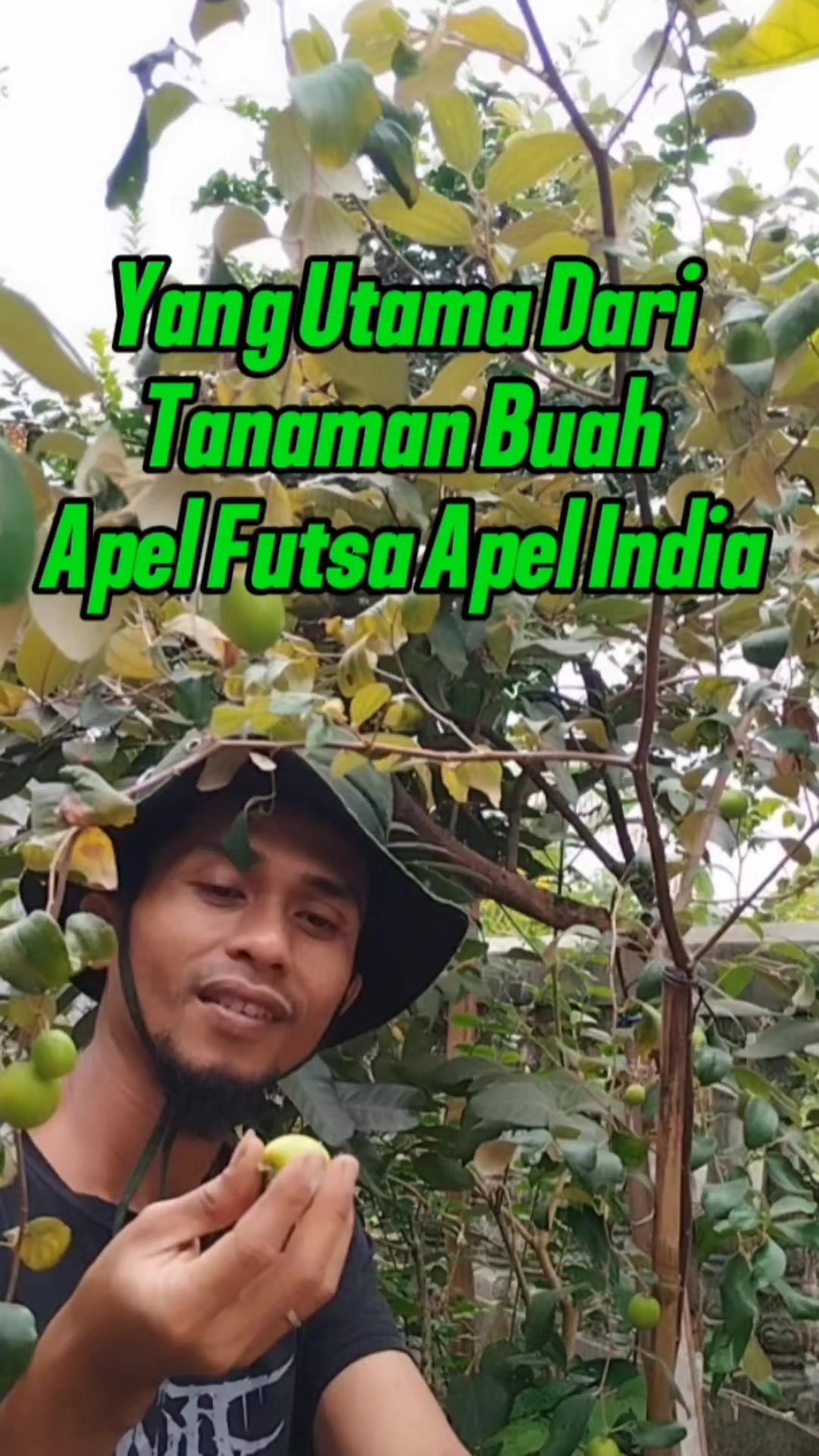 @Bukit Farming