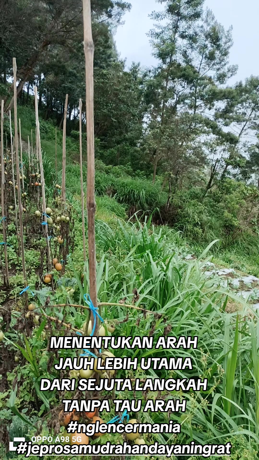 @JEPRO SAMUDRA