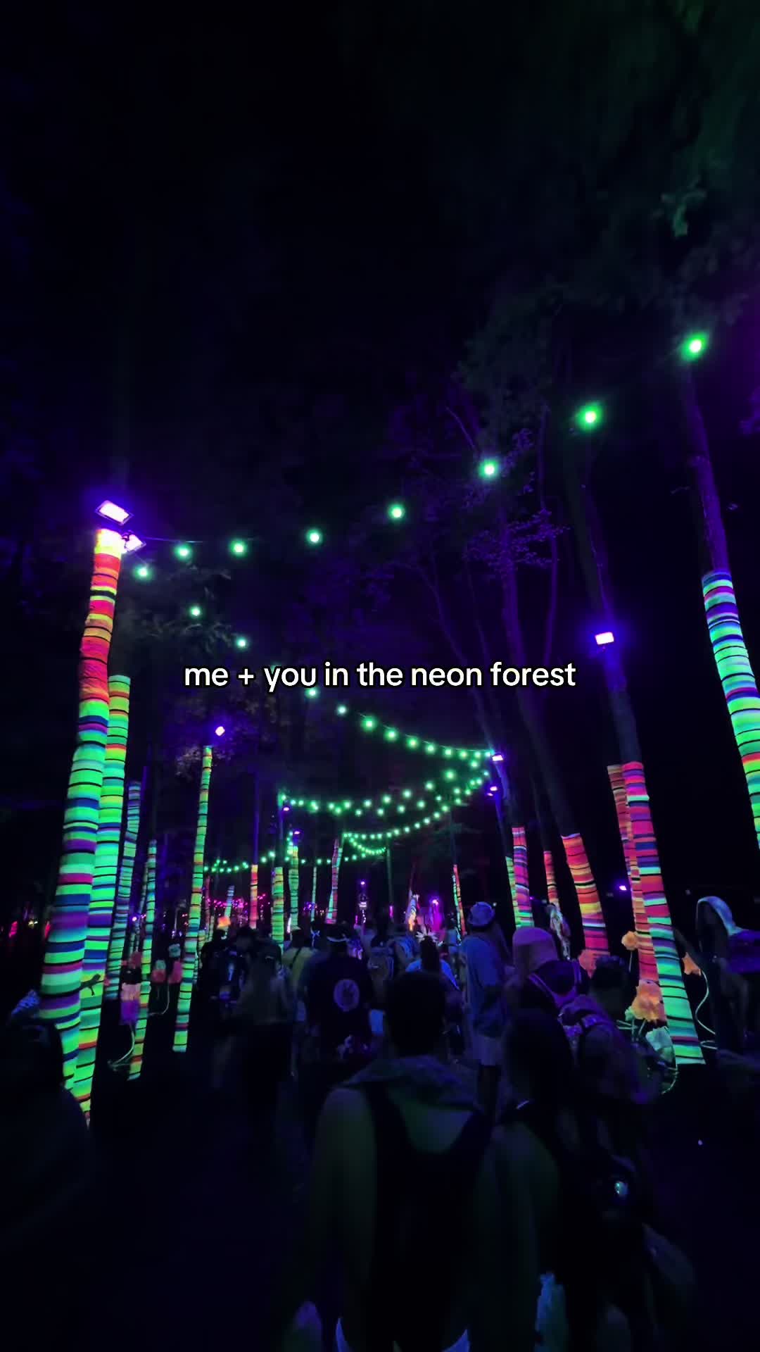 @Elements Music & Art Festival