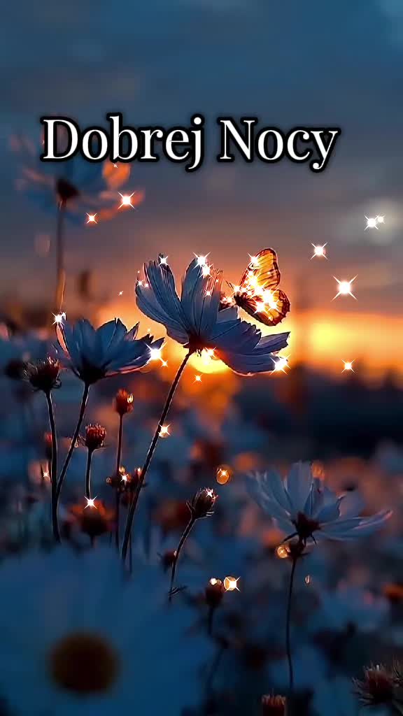 @Ambra@