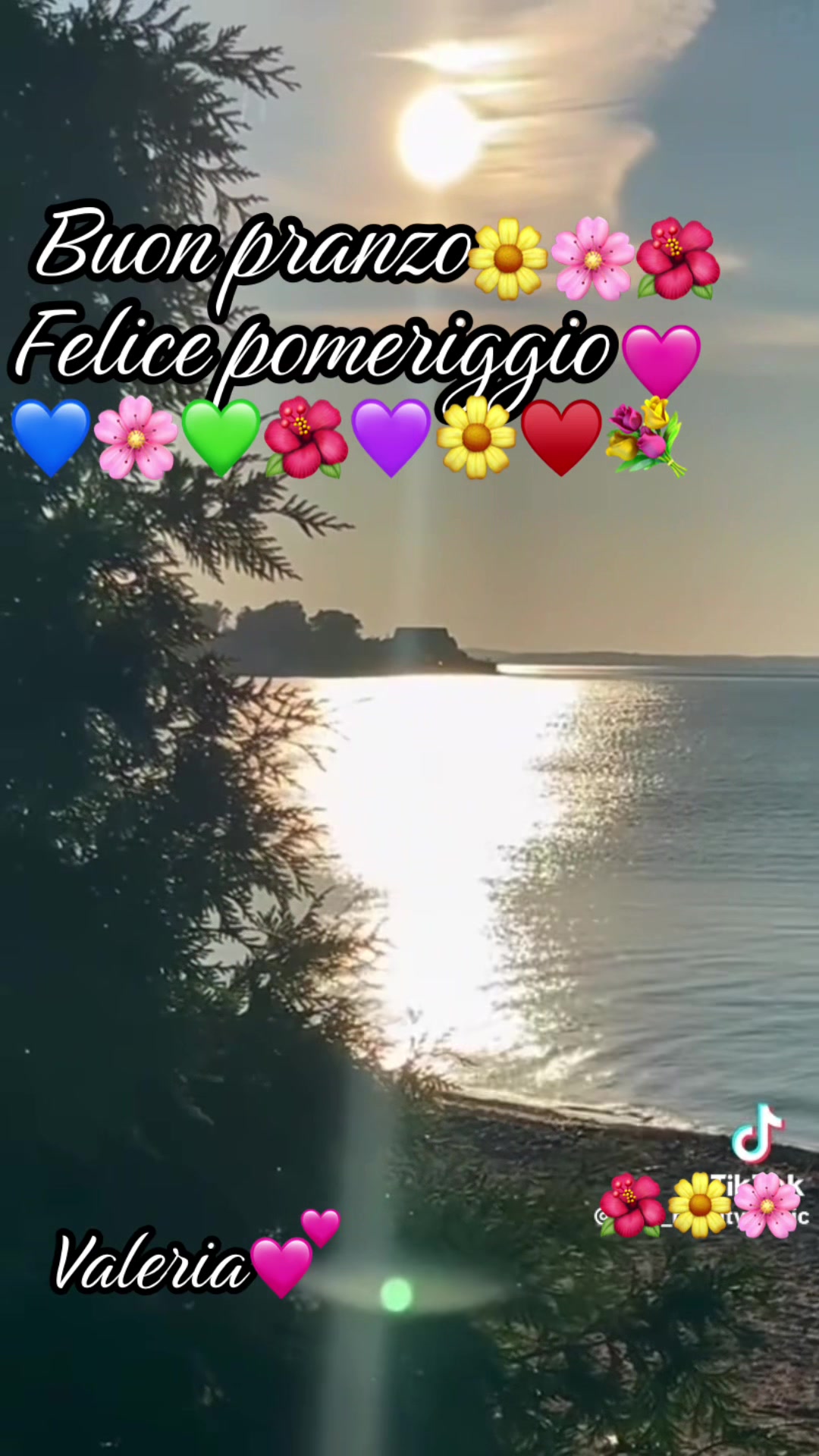 @valeriaevangelis840