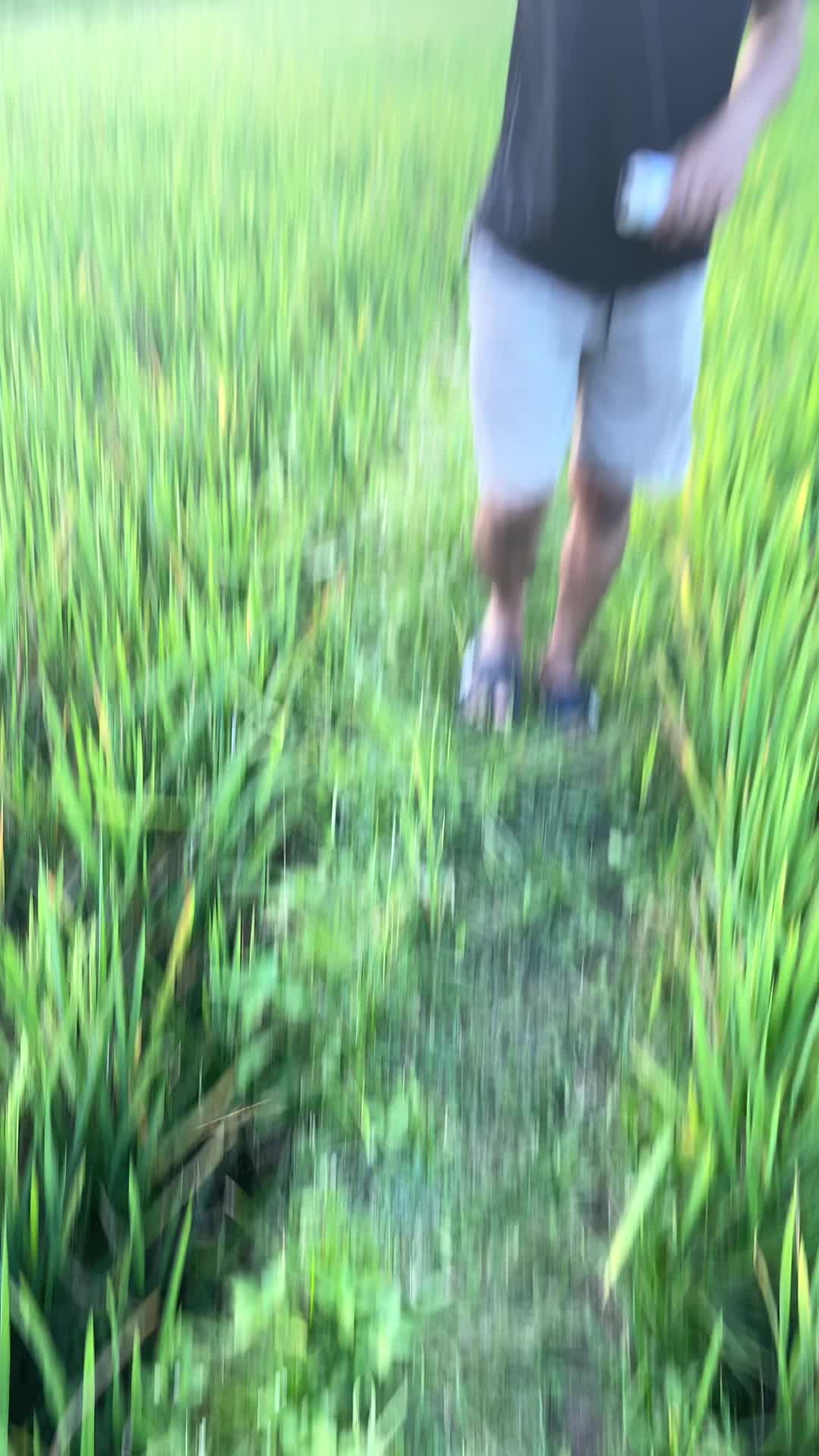 @Aripwel13