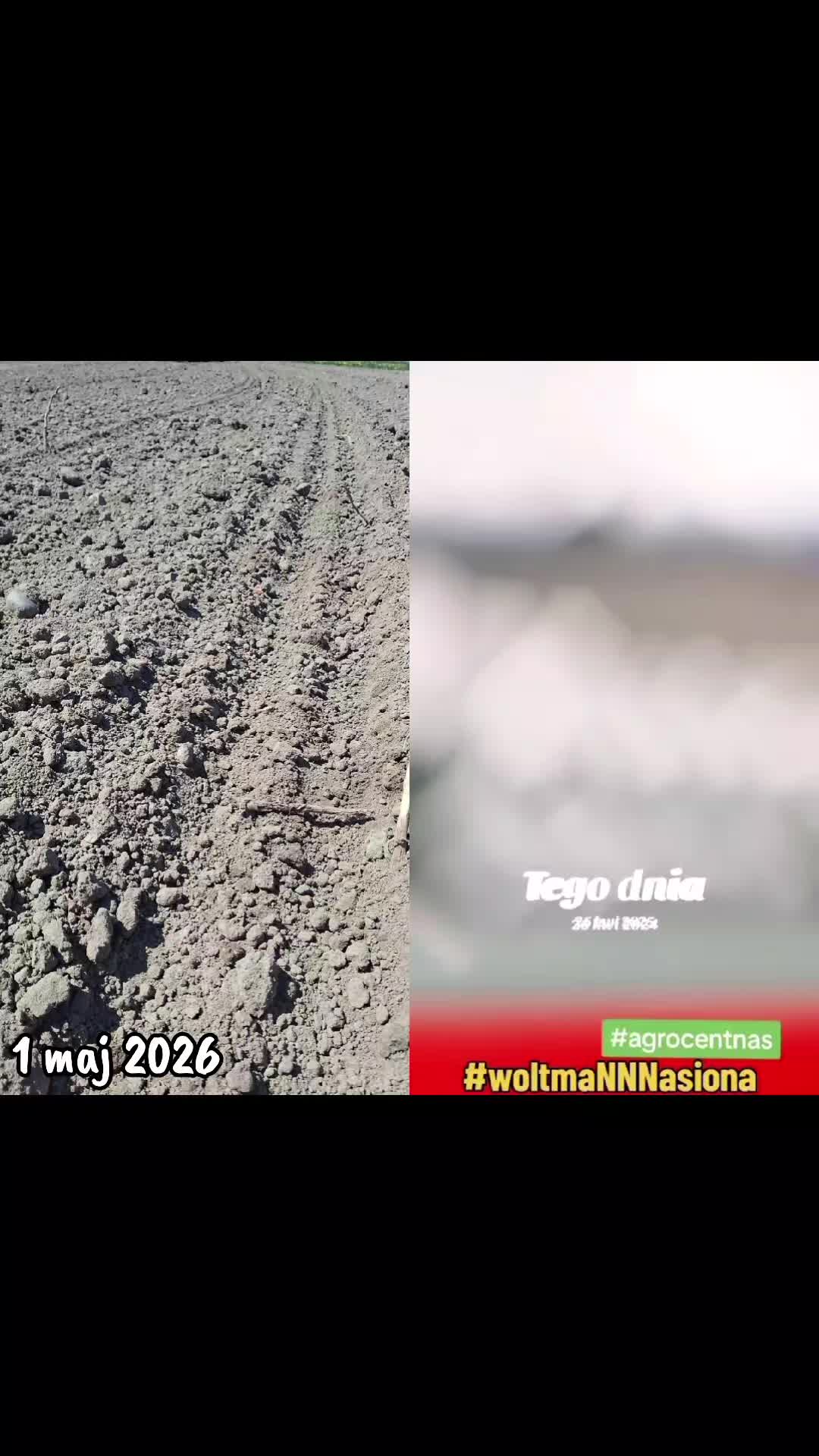 @WOLTMANNNASIONA