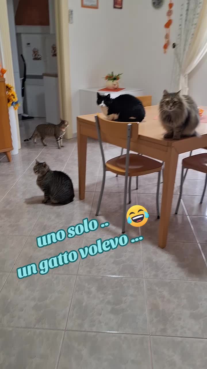 @💫⚘️Maria⚘️💫