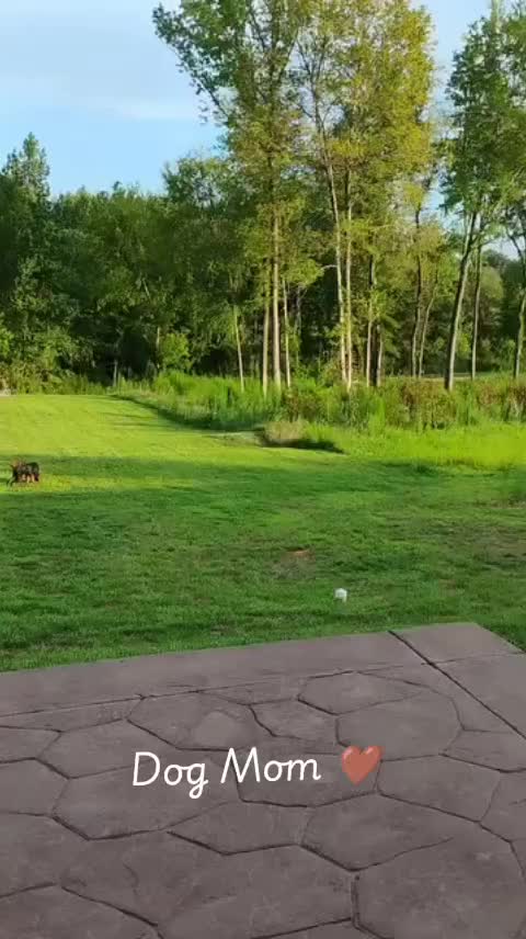 @NaturewithVee✨
