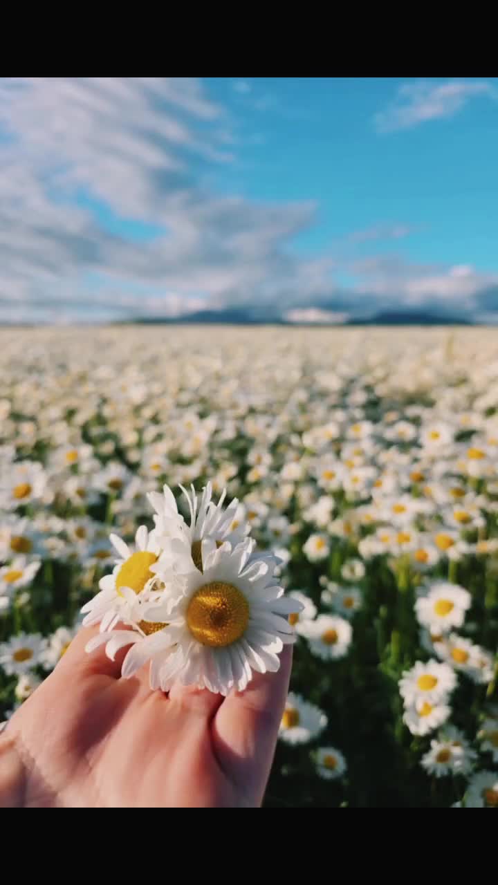 @Lu  ❤