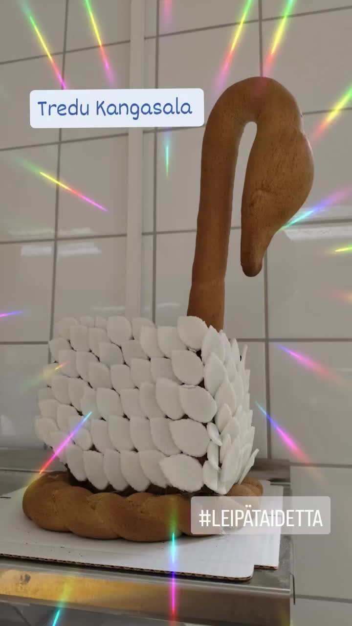 @tiinaheinonen