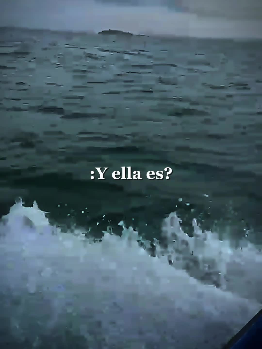 @🌹Xaymariliu💝