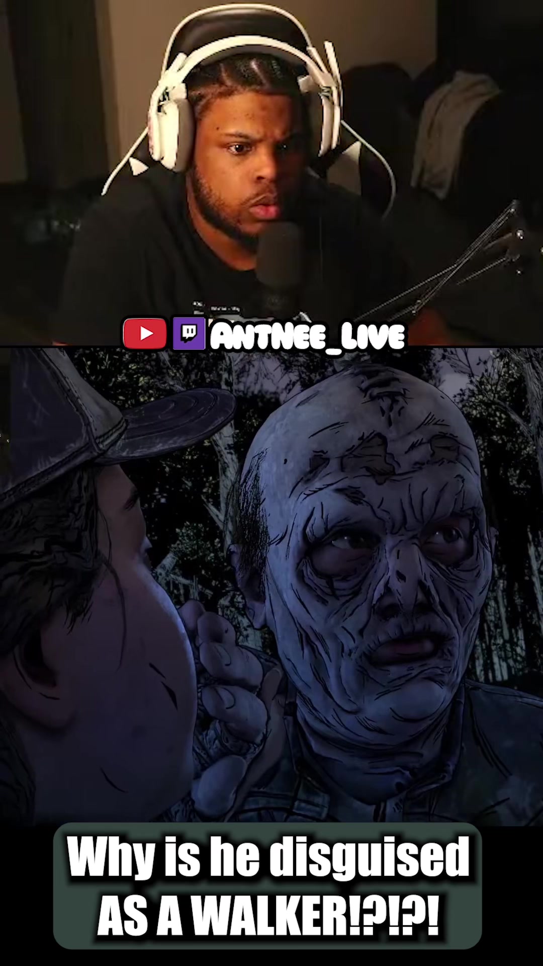 @AntNee Live
