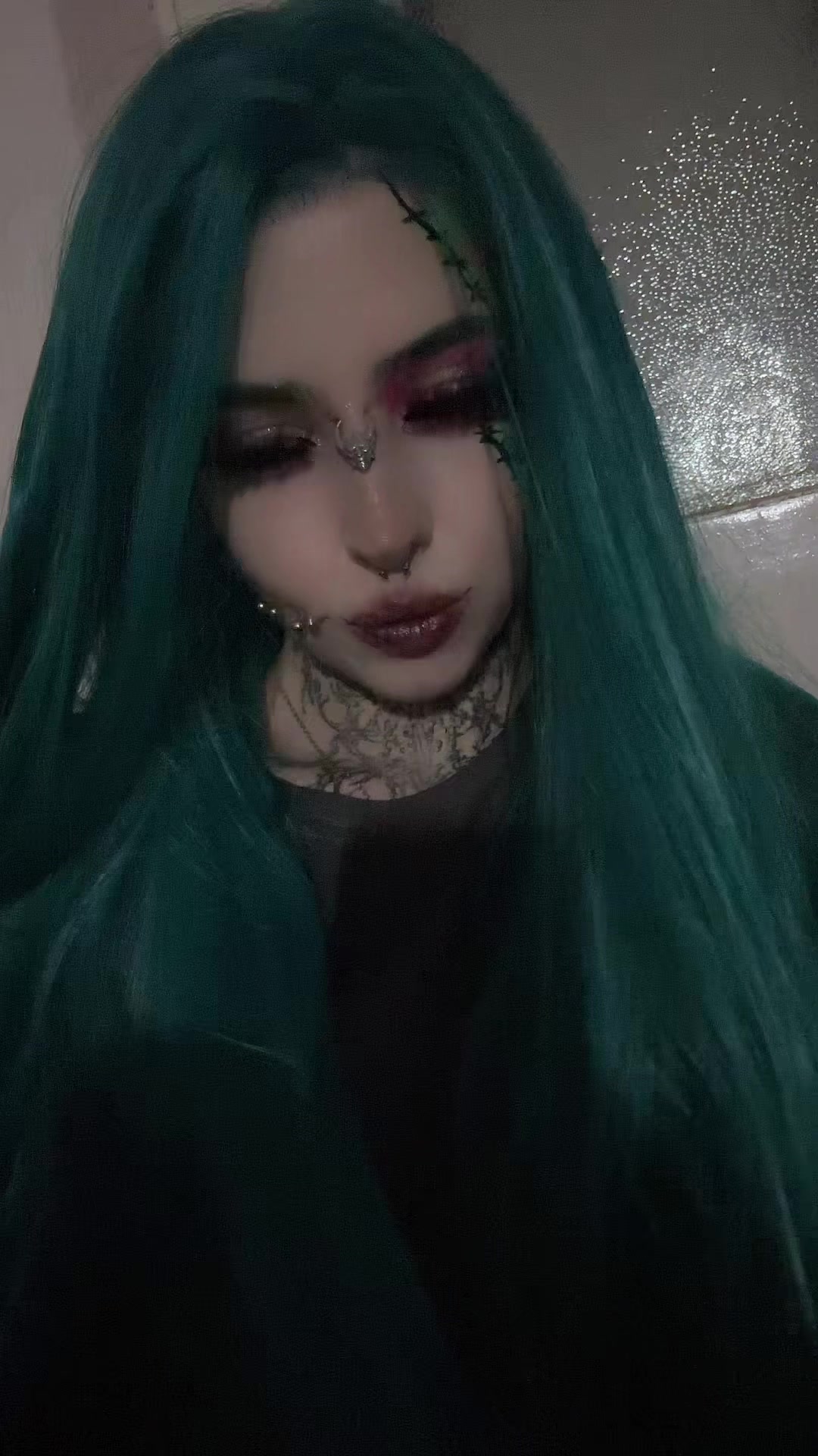 @dark dynasty