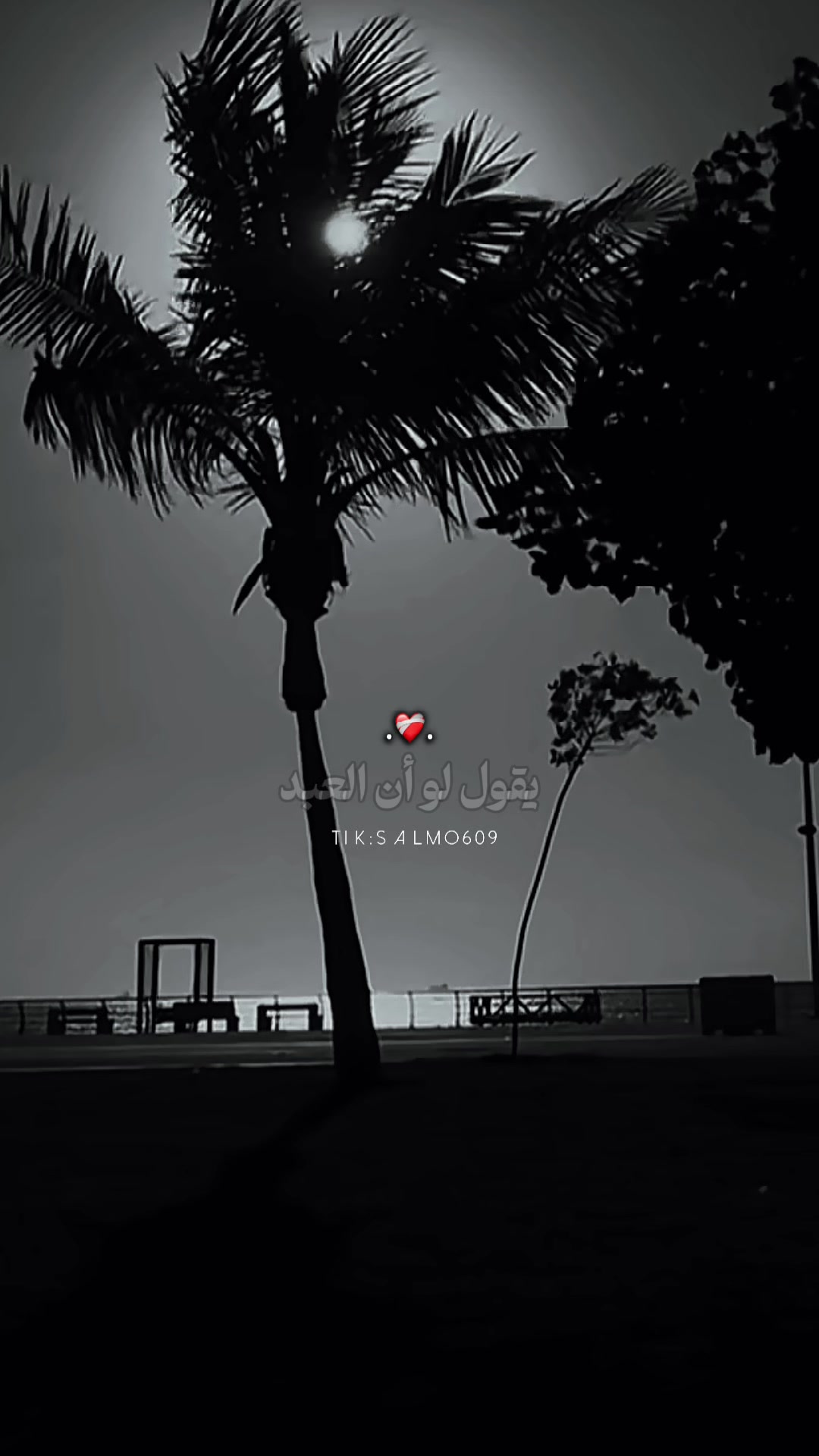 @SALMO609|ســـــلـــــمـــو