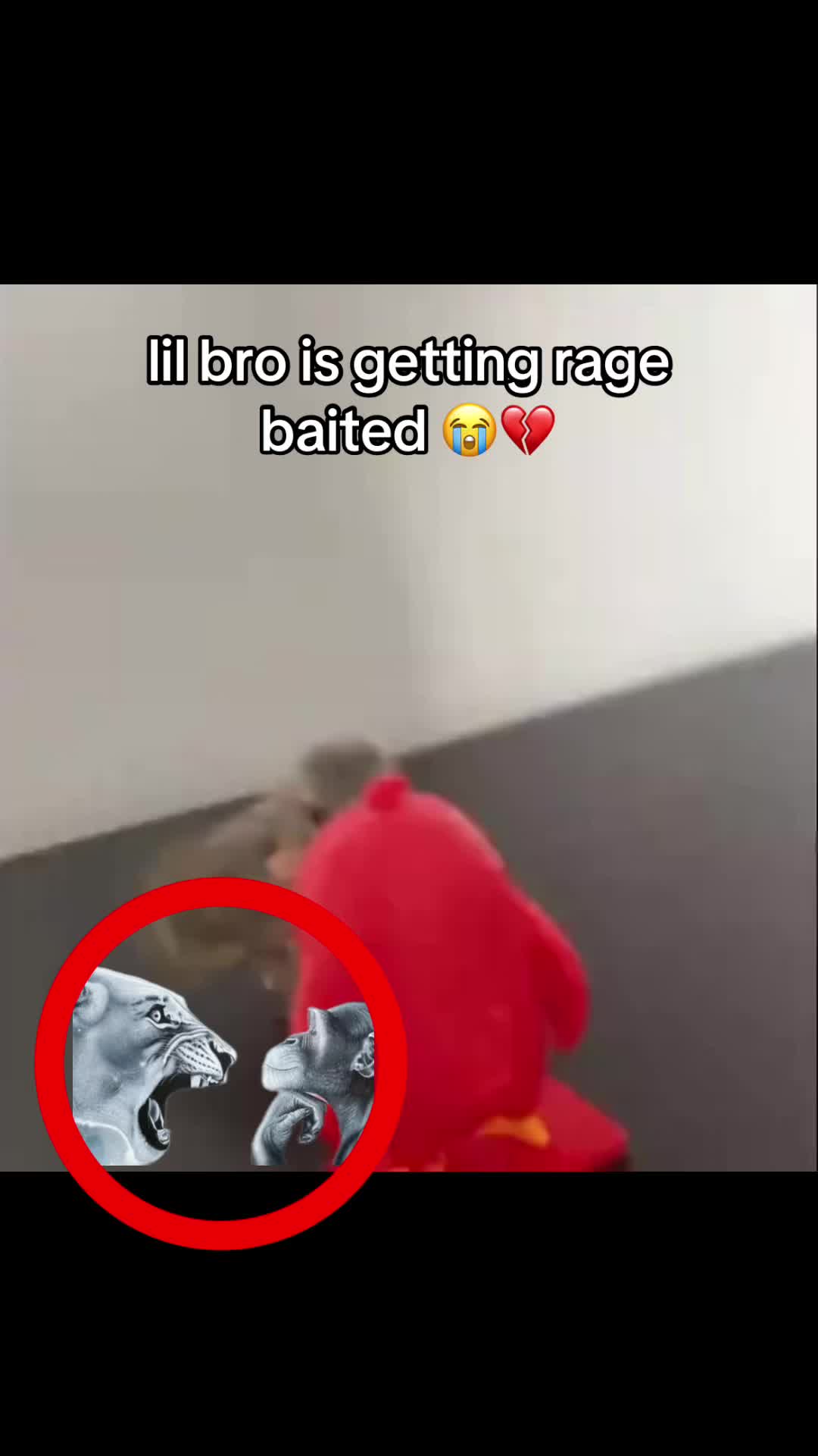 @bababooy1.2