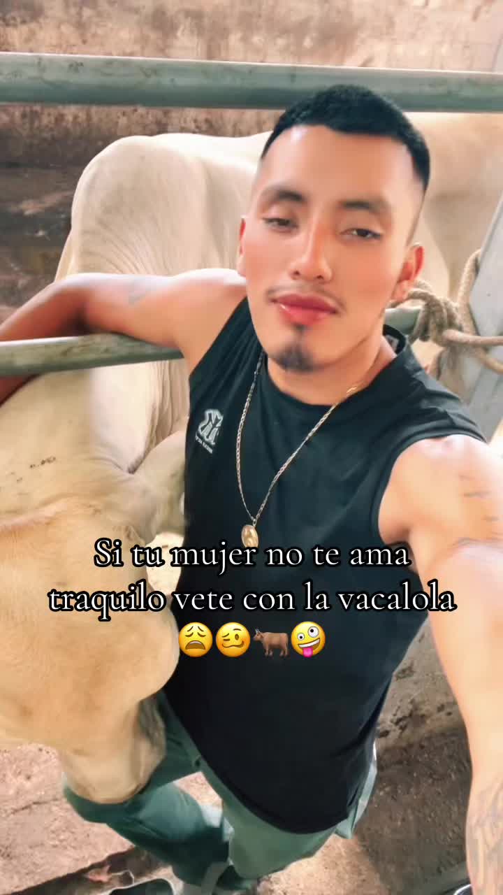 @maynor