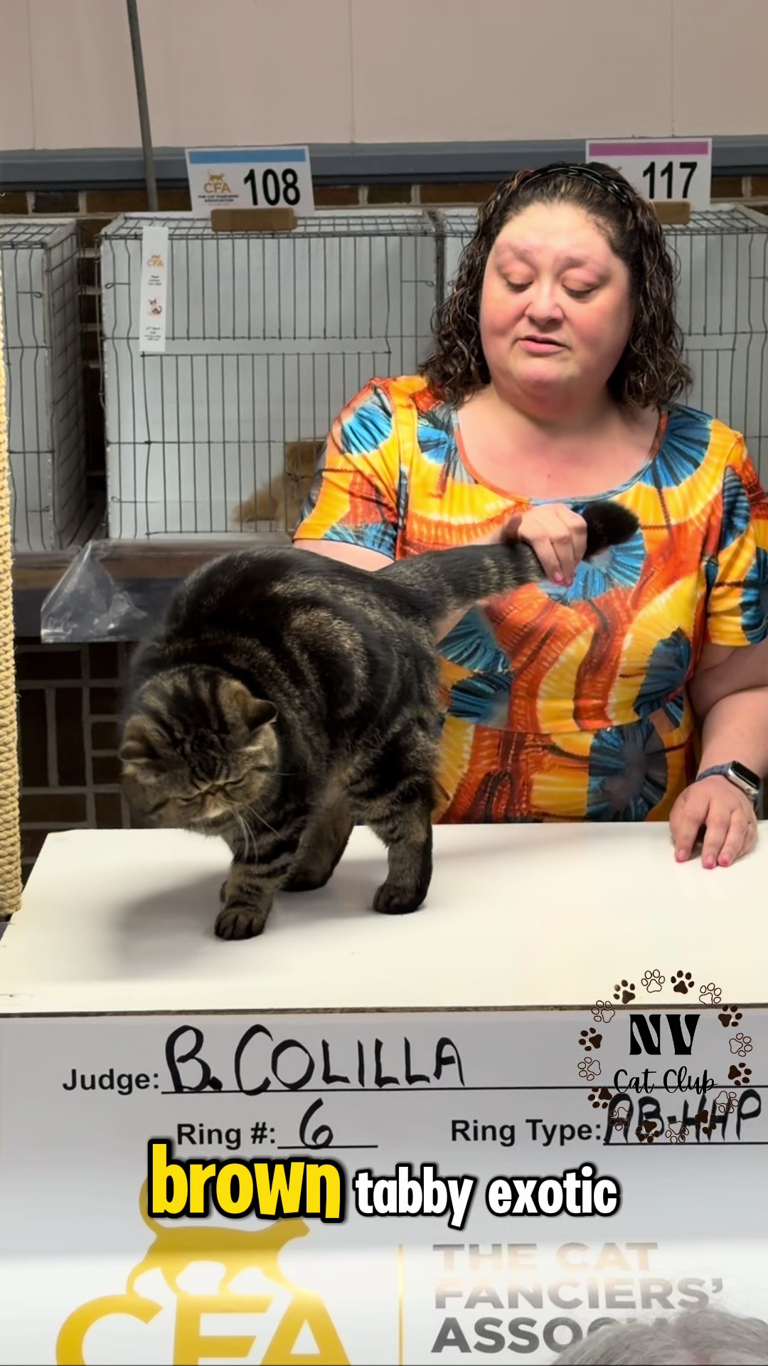 @NewVisionCatClub