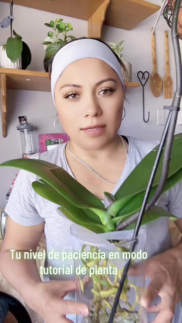 @aprendeconmary2