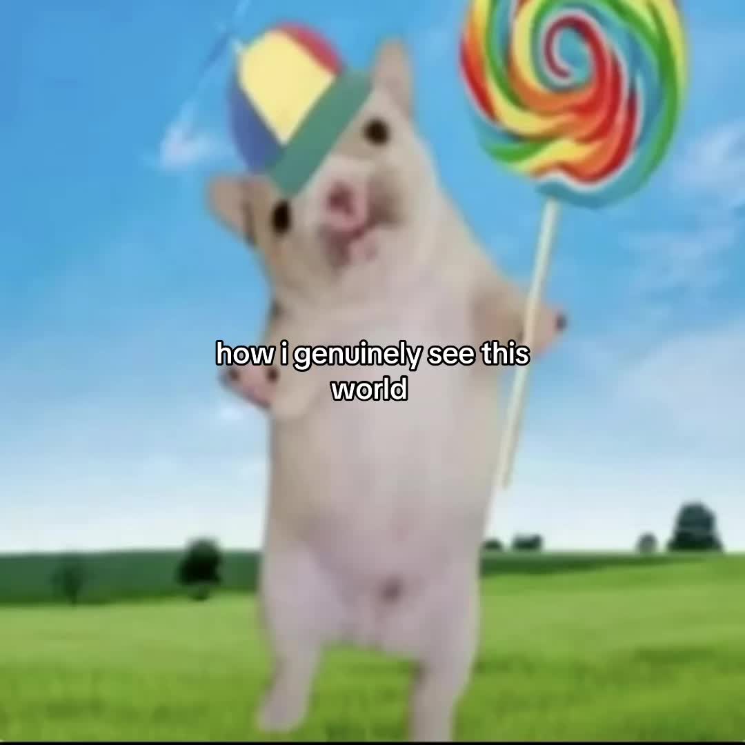 @wzxdhdv