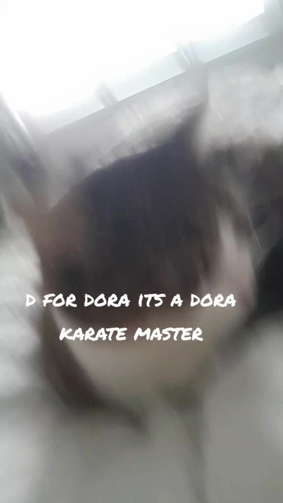 @normal dora 2 sigma dora