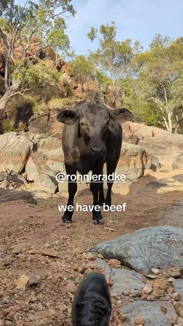 @โ๐๐ข๐ฆ๐๐ was here ๐ค