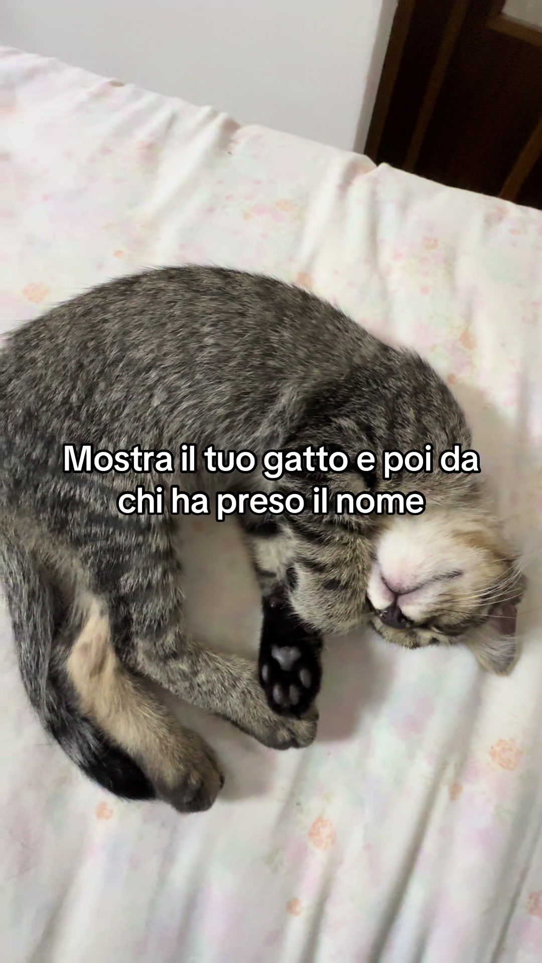 @alessia01112