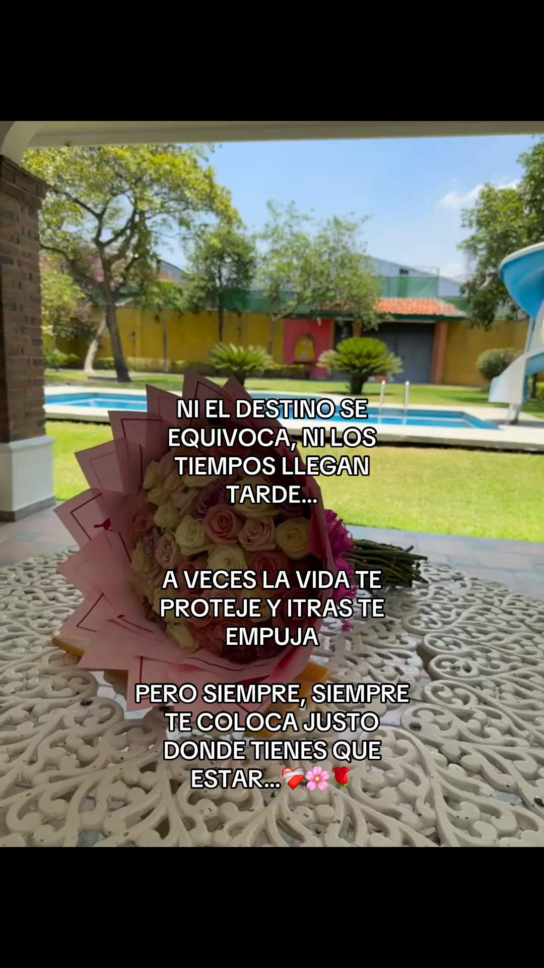 @Nick Vela Tapia
