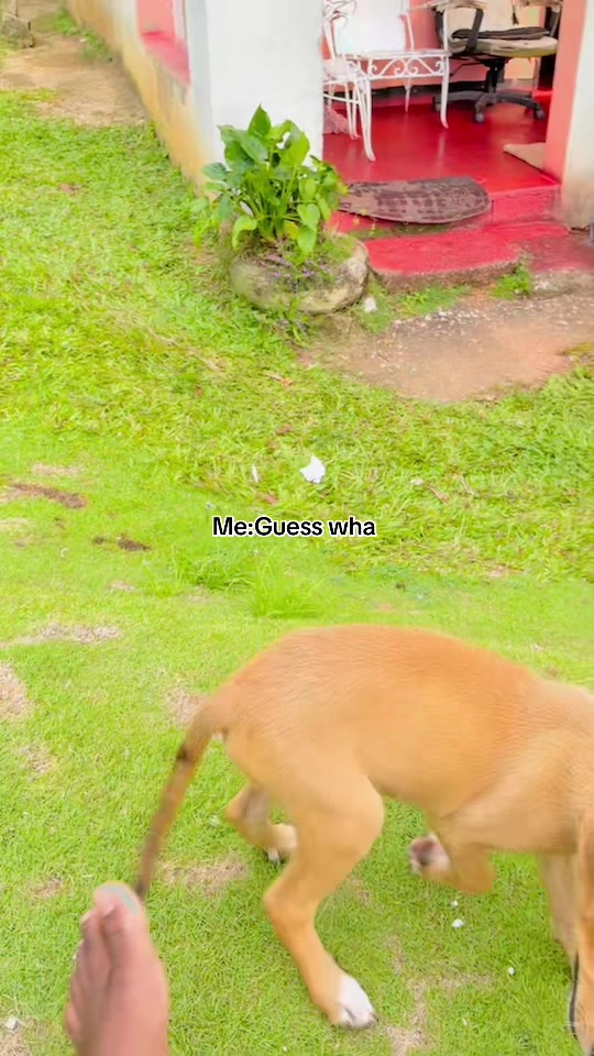 @Tumblewithrory