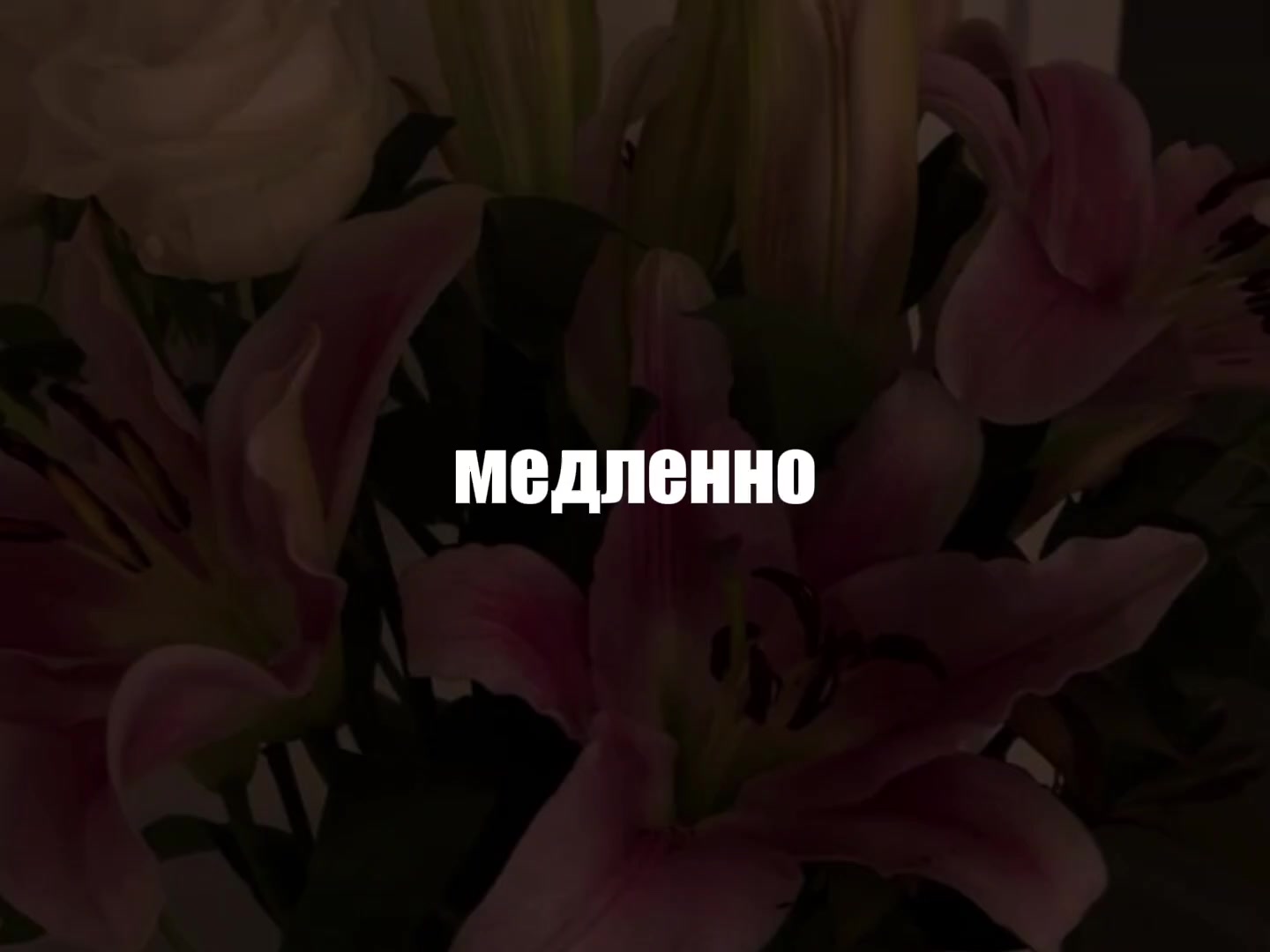 @музыка для липсингов
