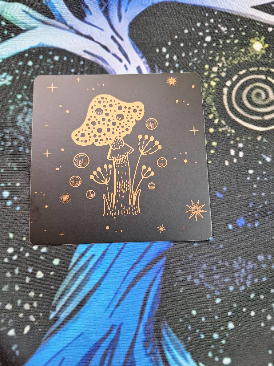 @Stephanie🔮✨️