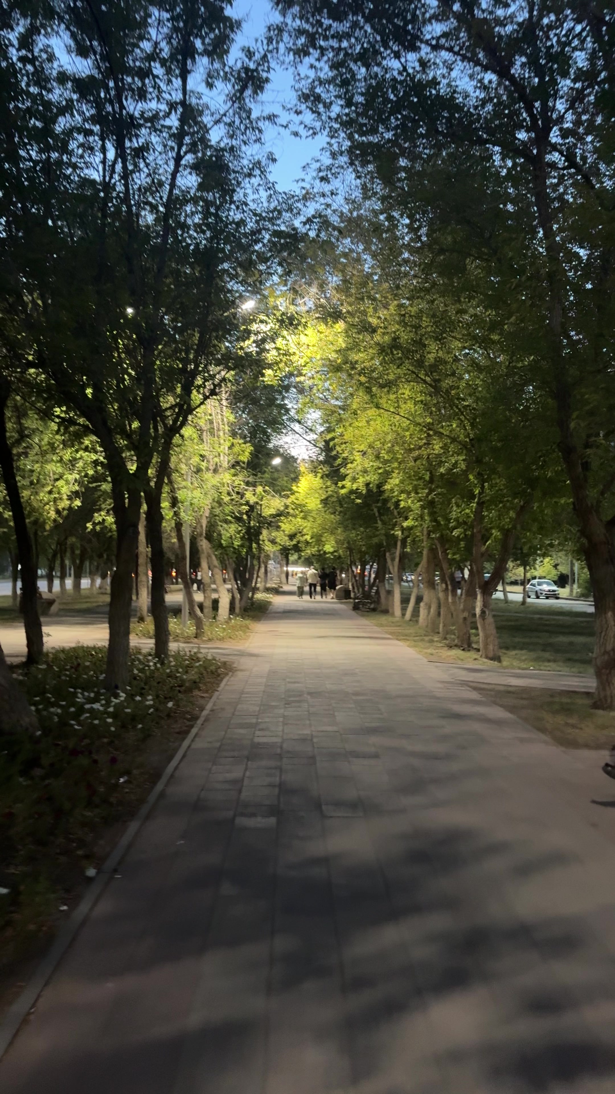 @Өмір өткелдері